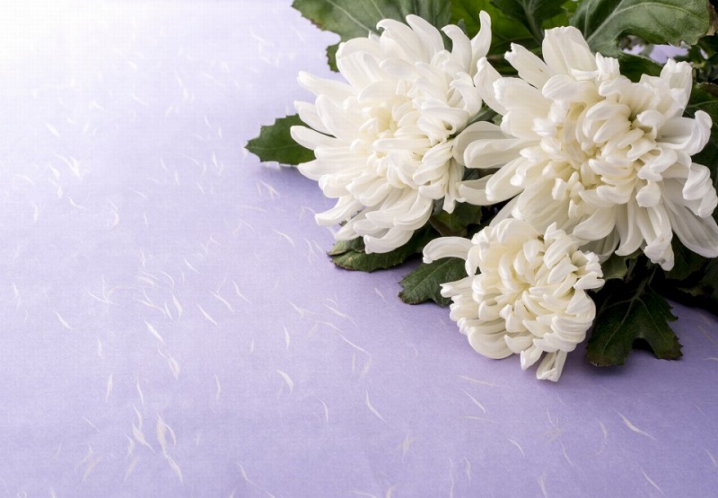 Fotolia_122100528_Subscription_Monthly_M-960x666